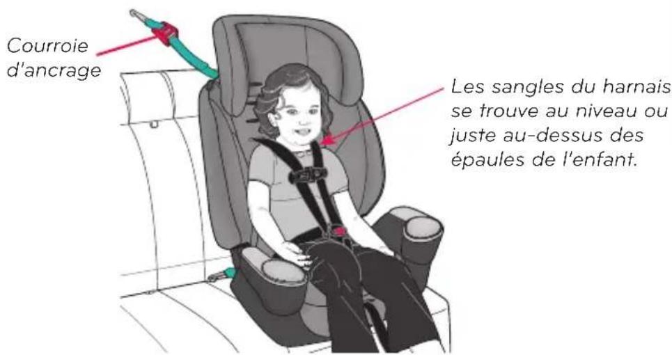 Evenflo Maestro Sport - Conditions requises pour l'enfant - 2