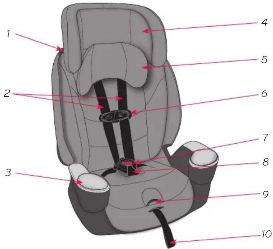 Evenflo Maestro Sport - Caractéristiques du dispositif de retenue - 1