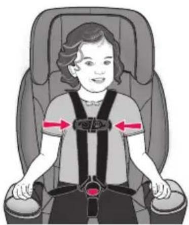 Evenflo Maestro Sport - Attacher l'enfant dans le dispositif de retenue - 1