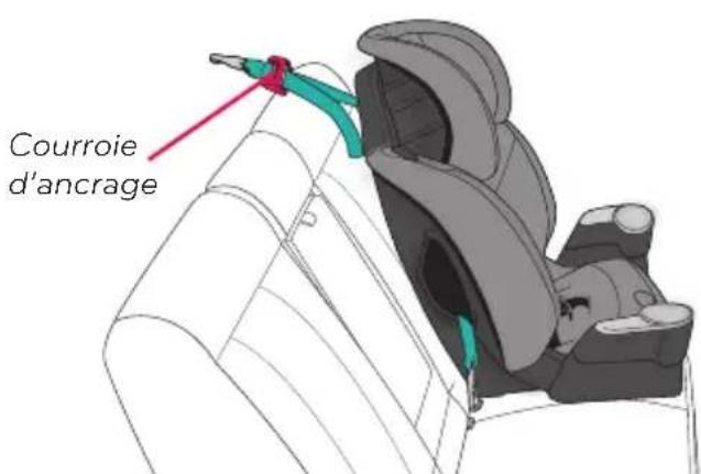 Evenflo Maestro Sport - AVERTISSEMENT! - 2