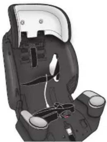 Evenflo Maestro Sport - Desserrer le harnais. - 2