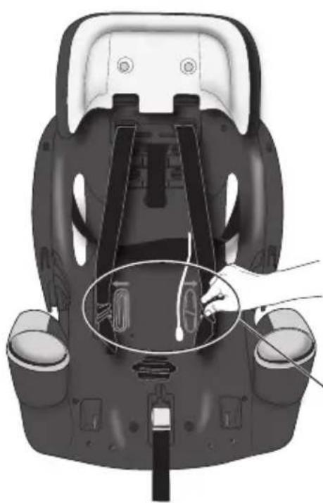 Evenflo Maestro Sport - Convertir en siège d'appoint - 3