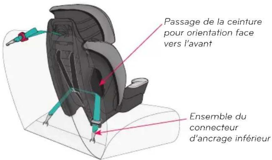 Evenflo Maestro Sport - Conditions requises pour l'enfant - 3