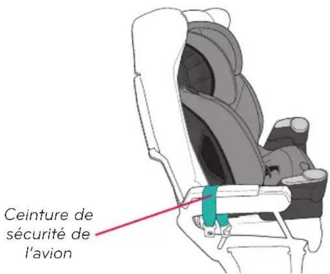 Evenflo Maestro Sport - IMPORTANT - 1
