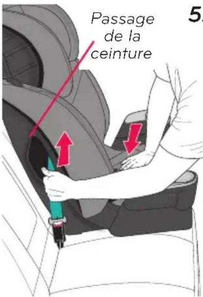 Evenflo Maestro Sport - Attacher la boucle de la ceinture de sécurité du véhicule. - 1