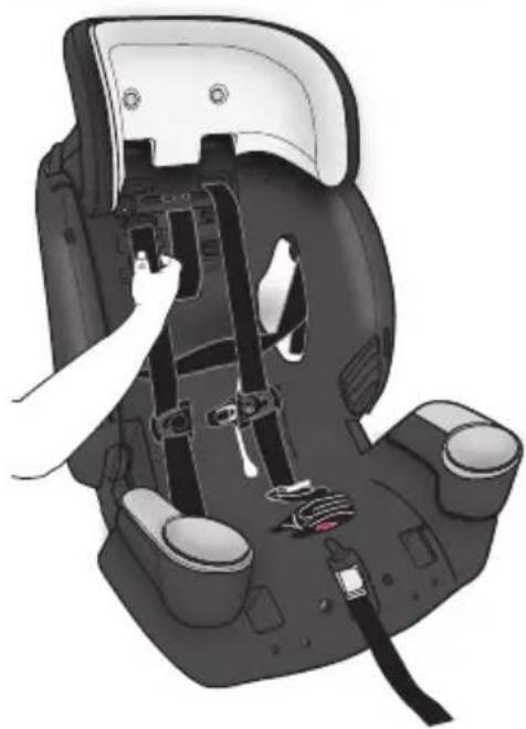 Evenflo Maestro Sport - Convertir en siège d'appoint - 1
