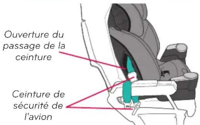 Evenflo Maestro Sport - Installation du dispositif de retenue pour enfant dans un avion - 1