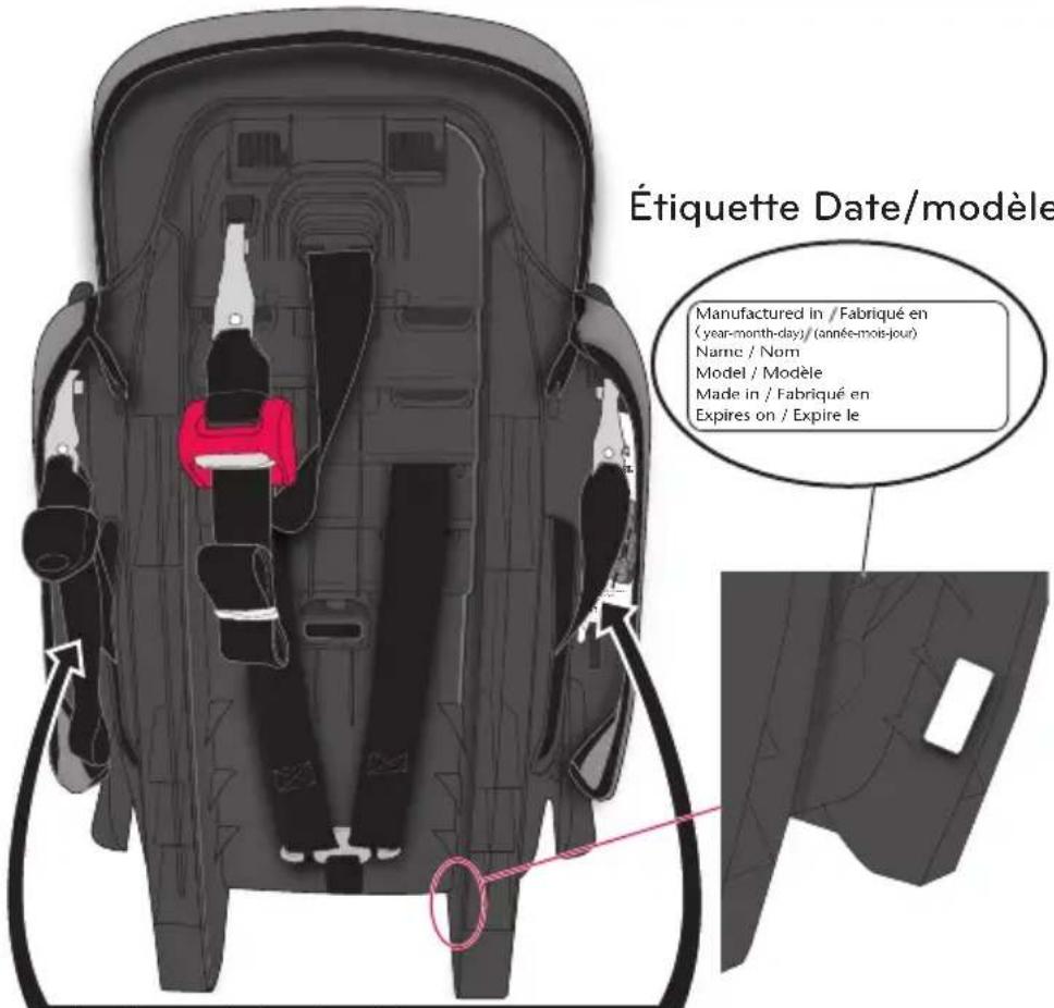 Evenflo Maestro Sport - Information sur le modèle et rangement du mode d'emploi - 1