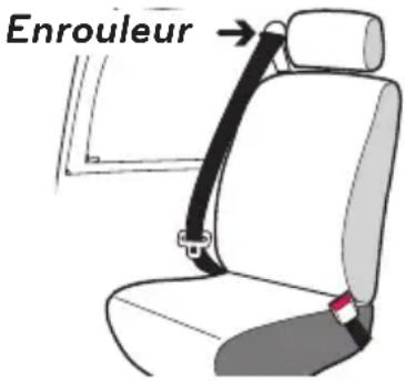 Evenflo Maestro Sport - Avertissements concernant les ceintures de sécurité - 1