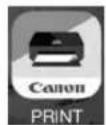 CANON PIXMA TS9541C - iOS - 2
