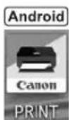 CANON PIXMA TS9541C - Öffnen Sie die installierte App. - 2