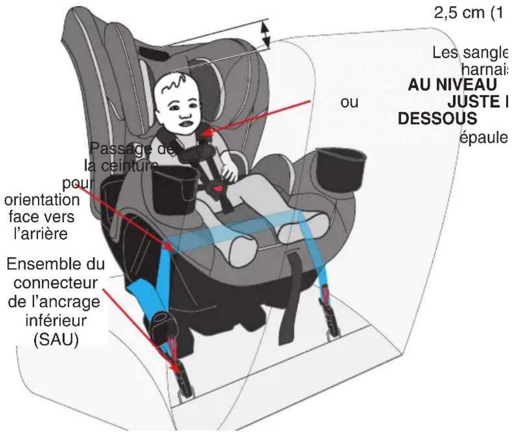 Evenflo EveryFit - Conditions requises pour l'enfant : - 2