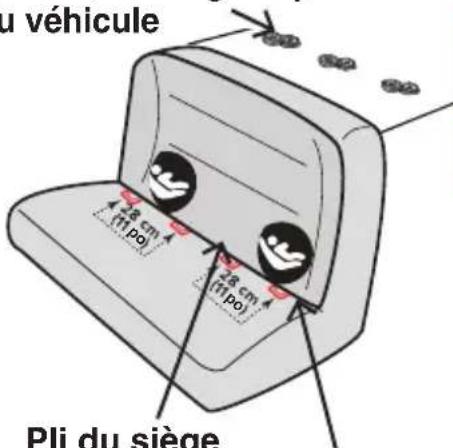 Evenflo EveryFit - Mises en garde concernant le DUA ou SAU - 2