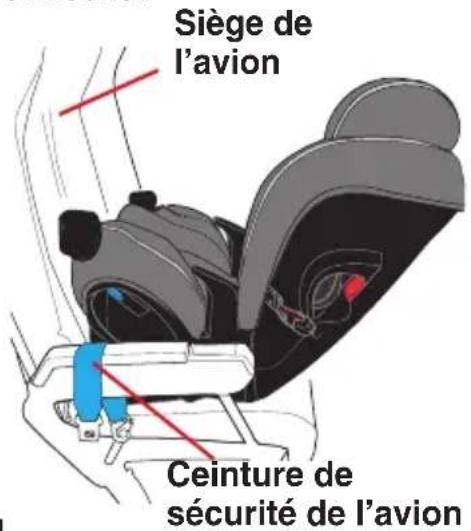 Evenflo EveryFit - Installation du dispositif de retenue pour enfant en position face vers l'arrière dans un avion - 1