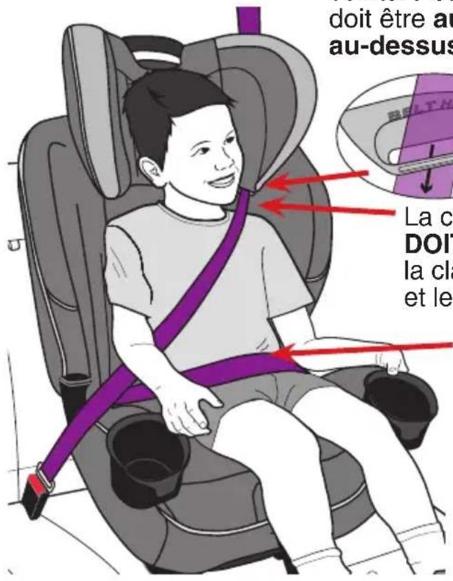 Evenflo EveryFit - Conditions requises pour l'enfant - 2