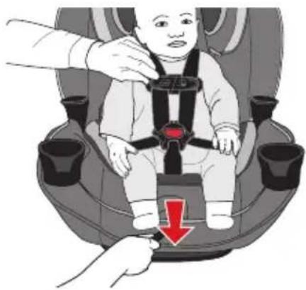 Evenflo EveryFit - Sécurisation de l'enfant dans le dispositif de retenue - 3