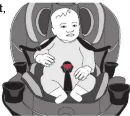 Evenflo EveryFit - Sécurisation de l'enfant dans le dispositif de retenue - 4