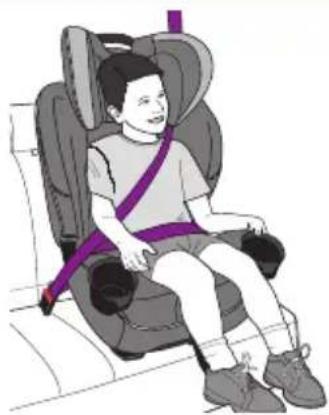 Evenflo EveryFit - Mode siège d'appoint - 1