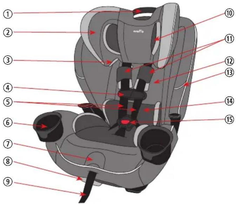Evenflo EveryFit - Caractéristiques du dispositif de retenue pour enfant - 1