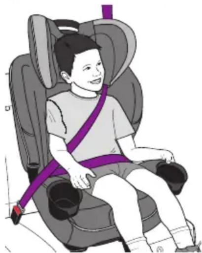 Evenflo EveryFit - Quand asseoir l'enfant dans un siège d'appoint - 1