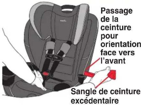 Evenflo EveryFit - La ceinture - 1