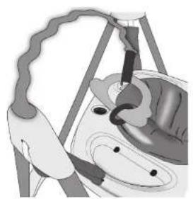 Evenflo Exersaucer Woodland Wonder - ADVERTENCIA - 1