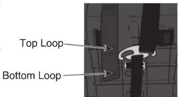 Evenflo Shyft DualRide - Harness Adjustment - 3