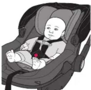 Evenflo Shyft DualRide - Child Requirements - 1