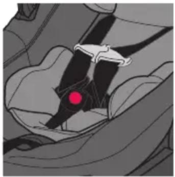 Evenflo Shyft DualRide - Adjustable Buckle Strap - 1