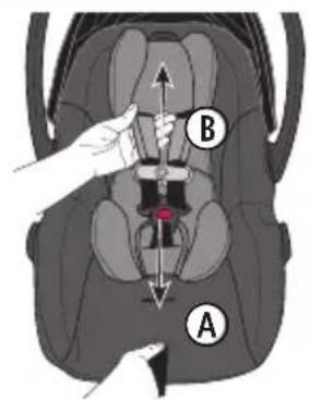Evenflo Shyft DualRide - Harness Adjustment - 1