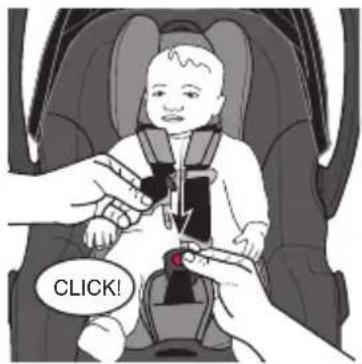 Evenflo Shyft DualRide - Securing the Child - 1