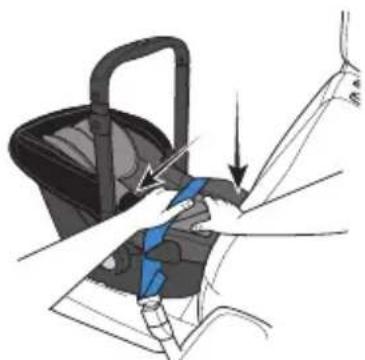 Evenflo Shyft DualRide - Installing the Infant Carrier With Lap Belt Only - 2