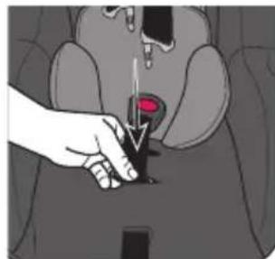 Evenflo Shyft DualRide - Changement de la position de la sangle de la ceinture - 1
