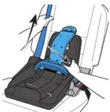 Evenflo Shyft DualRide - Installing the Base with Lap/Shoulder Belt - 1