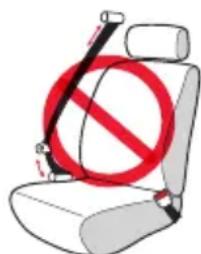 Evenflo Shyft DualRide - Seat BeltWarnings - 3