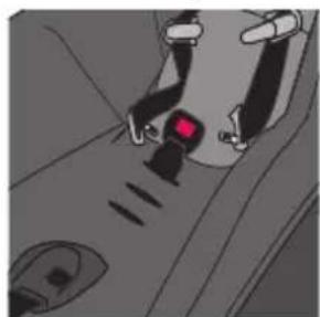 Evenflo Shyft DualRide - Changing the Buckle Strap Position - 1