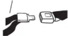 Evenflo Shyft DualRide - Lap Belt with Locking Latch Plate - 1