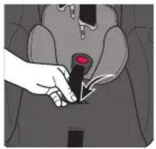 Evenflo Shyft DualRide - Changing the Buckle Strap Position - 1