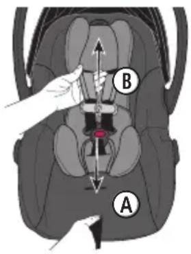 Evenflo Shyft DualRide - WARNING! DEATH or SERIOUS INJURY can occur. - 1