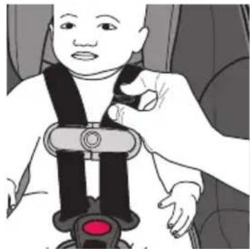 Evenflo Shyft DualRide - Sécurisation de l'enfant - 1