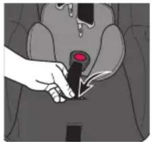 Evenflo Shyft DualRide - Changement de la position de la sangle de la boucle d'entrejambe - 1