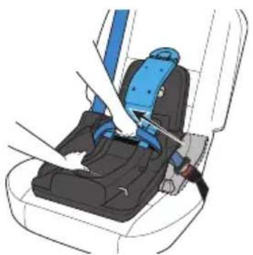 Evenflo Shyft DualRide - Installation de la base en utilisant la ceinture sous-abdominale et baudrier - 2