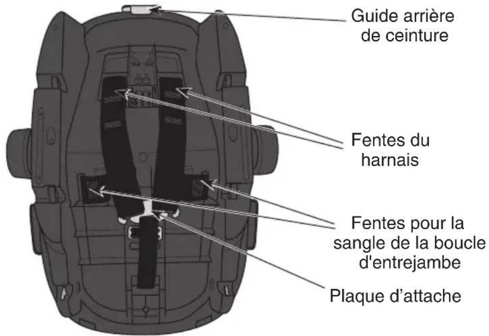 Evenflo Shyft DualRide - Vue arrirè du porte-bébé - 1