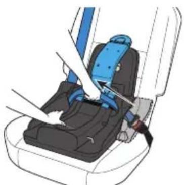 Evenflo Shyft DualRide - Installing the Base with Lap/Shoulder Belt - 2