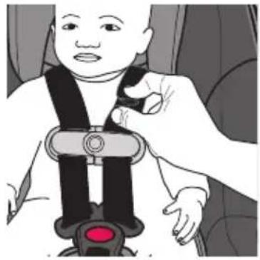 Evenflo Shyft DualRide - Securing the Child - 1