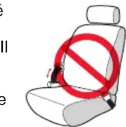 Evenflo Shyft DualRide - Mises en garde concernant les ceintures de sécurité - 1