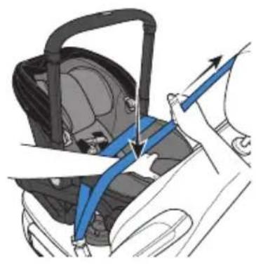 Evenflo Shyft DualRide - Installing With Lap/Shoulder Belt (Alternate) - 1