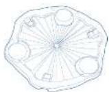 Evenflo Exersaucer Zoo Friends - 2