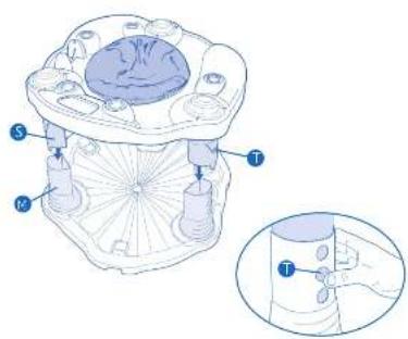 Evenflo Exersaucer Zoo Friends - AVERTISSEMENT - 5