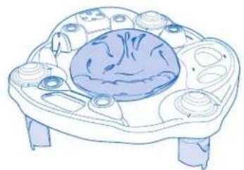 Evenflo Exersaucer Sweet Tea - ADVERTENCIA - 3